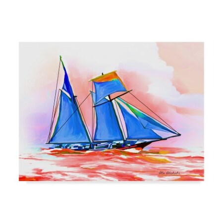 Ata Alishahi 'Sail' Canvas Art,24x32